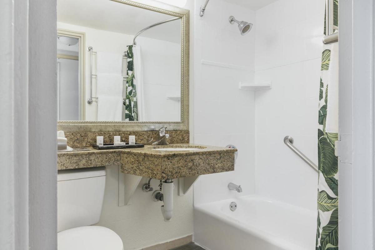 Holiday Inn Hotel Port of Miami-Downtown an IHG Hotel - image 6