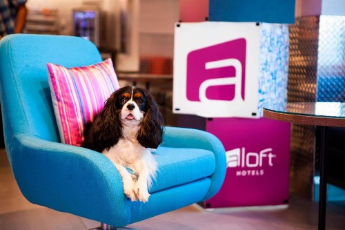 Aloft Miami Dadeland - image 20