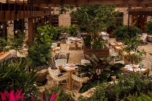 The Ritz-Carlton Coconut Grove Miami - image 23