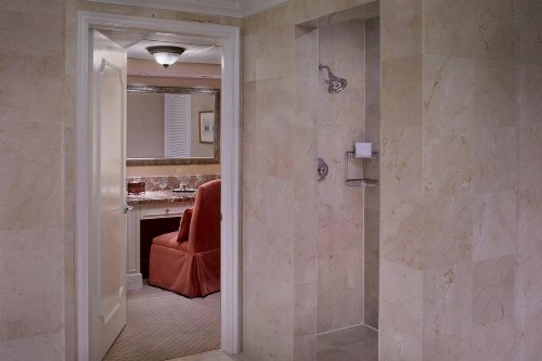 The Ritz-Carlton Coconut Grove Miami - image 50