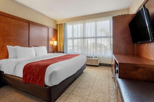 Comfort Suites Miami - image 24