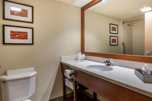 Comfort Suites Miami - image 3