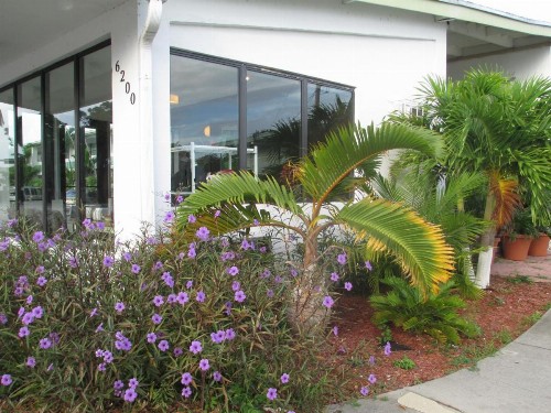 Shalimar Motel - image 3