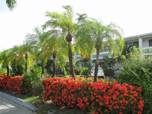 Shalimar Motel - image 41