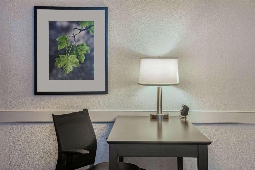 La Quinta Inn by Wyndham Miami Airport North - image 44