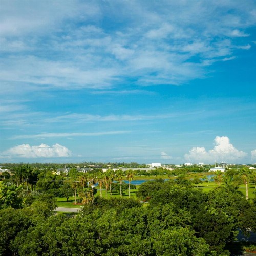 Staybridge Suites Miami Doral Area an IHG Hotel - image 3