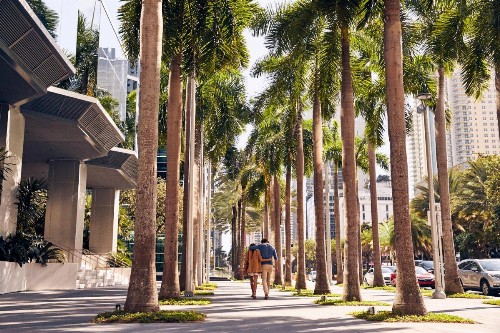 Four Seasons Hotel Miami - image 29