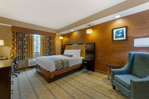 Best Western Plus Miami Executive Airport Hotel and Suites - image 10