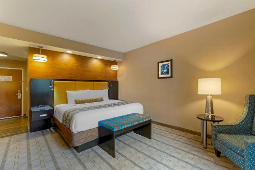 Best Western Plus Miami Executive Airport Hotel and Suites - image 9