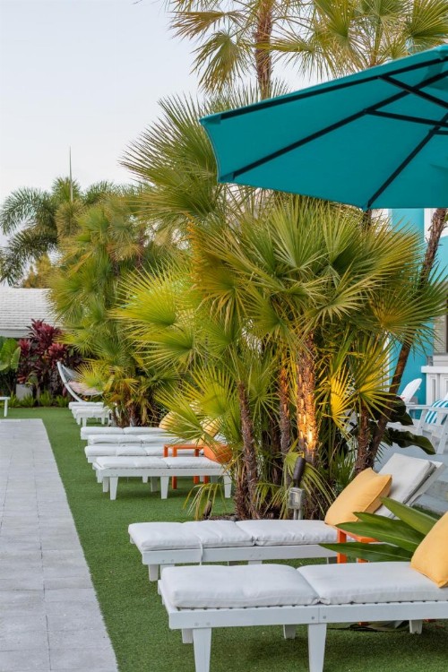 The Vagabond Hotel - image 5
