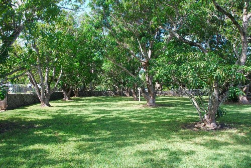 La Finca - image 3