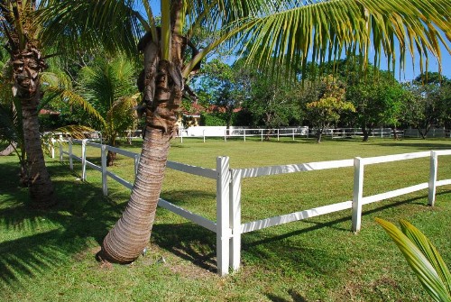 La Finca - image 7