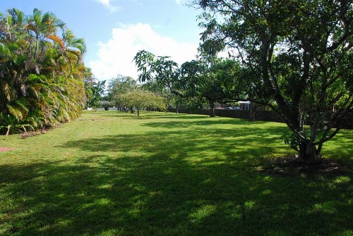 La Finca - image 8