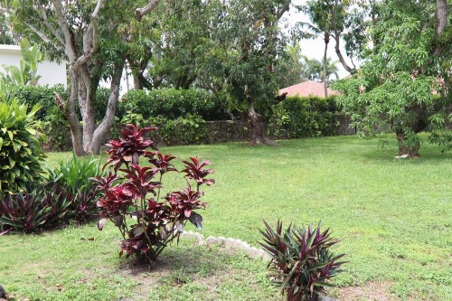 La Finca - image 9