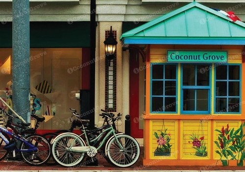 iCoconutGrove - Luxurious Vacation Rentals in Coconut Grove - image 47