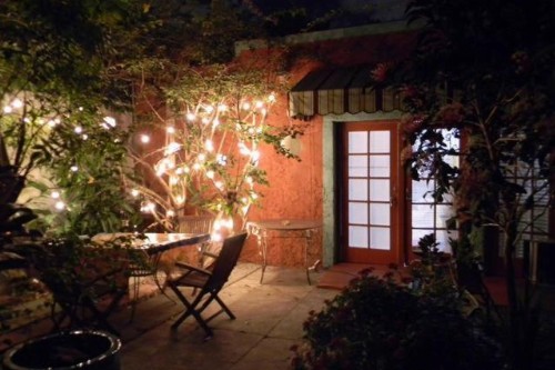 The Wild Rose - image 7