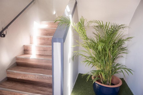 Miami Apt 1BR w/free parking & Wifi - image 15