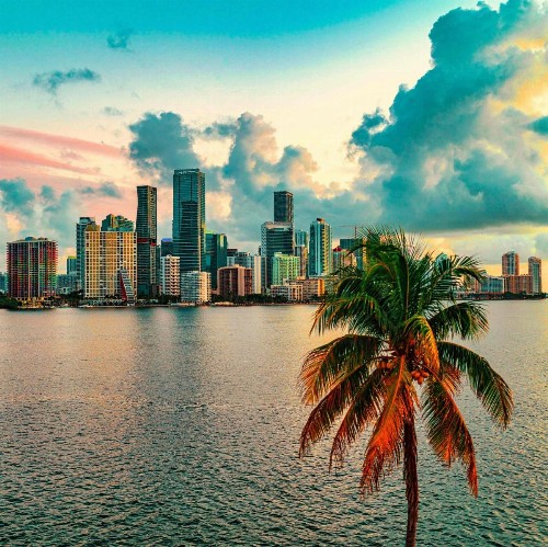 Atwell Suites - Miami Brickell an IHG Hotel - image 12