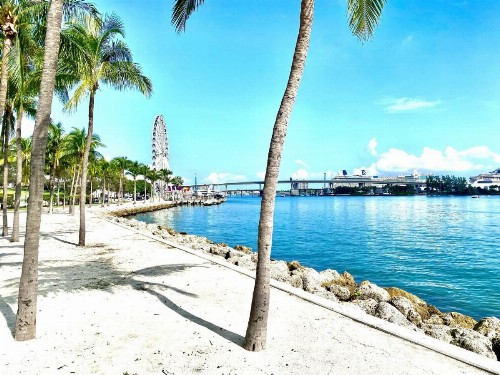 Atwell Suites - Miami Brickell an IHG Hotel - image 32