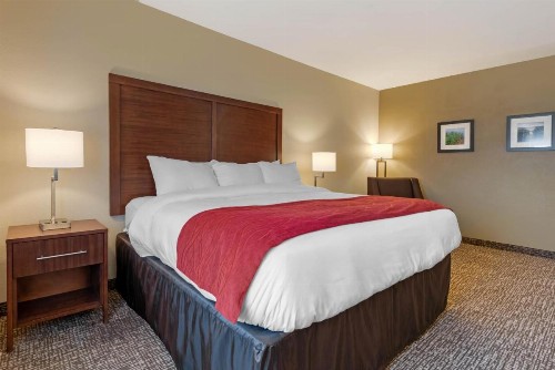 Comfort Inn & Suites Michigan City - image 10
