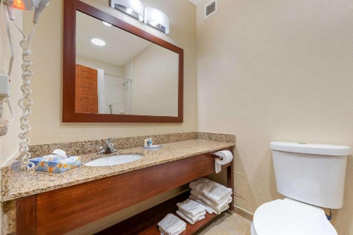 Comfort Inn & Suites Michigan City - image 29