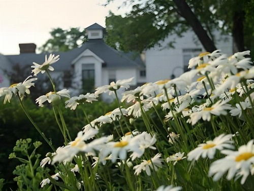 Swift House Inn - image 1