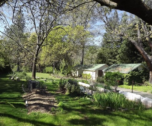 Backyard Garden Oasis - image 16