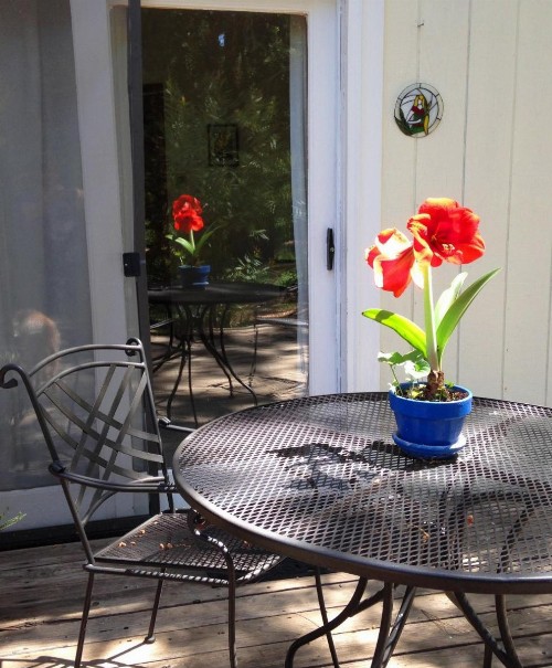 Backyard Garden Oasis - image 2