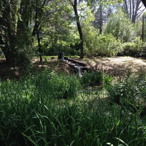 Backyard Garden Oasis - image 33