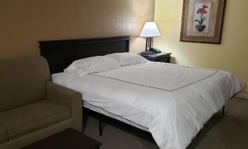 West Texas Inn & Suites Midland - image 8