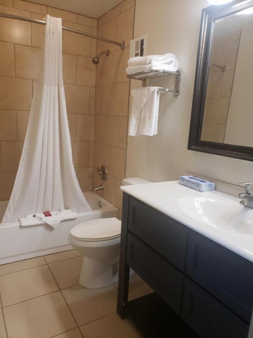 Grand Texan Hotel and Convention Center - image 33