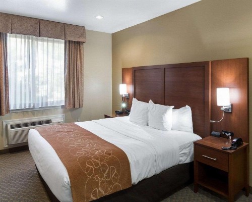 Quality Suites Midland - image 11