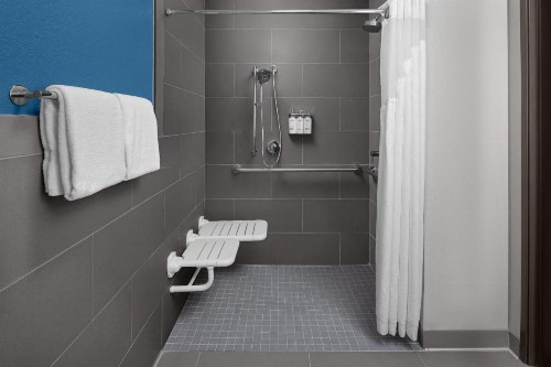 Holiday Inn Express & Suites Midland Loop 250 an IHG Hotel - image 48