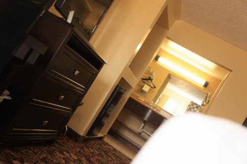 Plaza Inn Midland - image 21