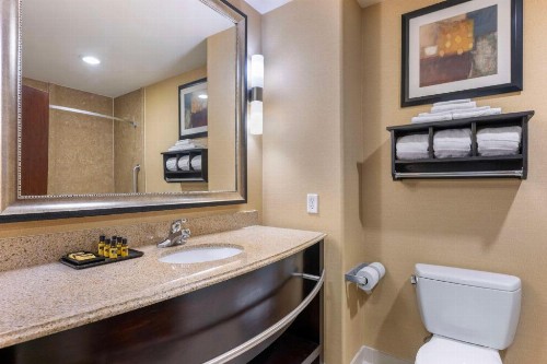 Best Western Plus Midland Suites - image 31