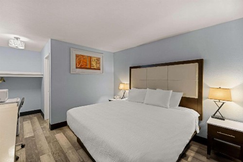 Executive Inn - image 19