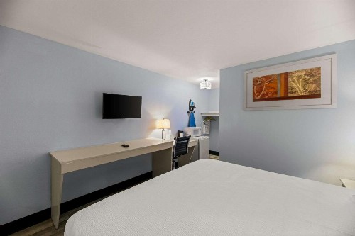 Executive Inn - image 20