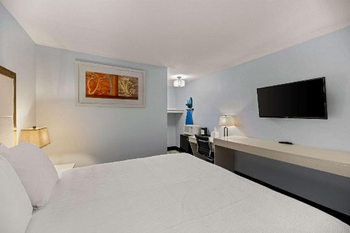 Executive Inn - image 23