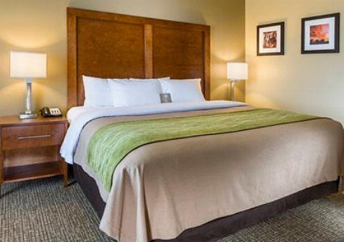 Comfort Inn Midland South I-20 - image 7
