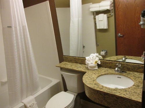 Microtel Inn & Suites by Wyndham - image 26