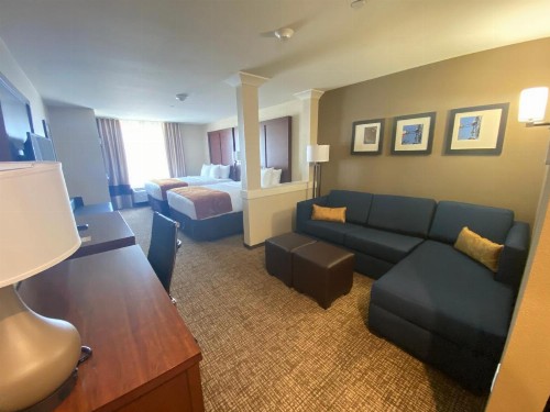 Comfort Suites Midland West - image 15