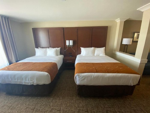 Comfort Suites Midland West - image 16