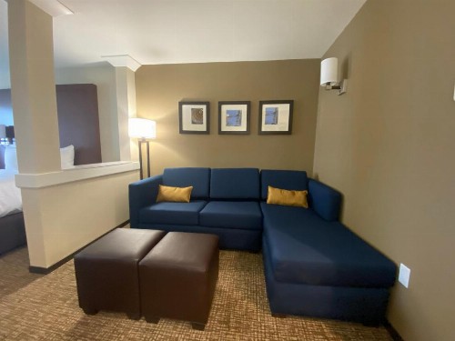 Comfort Suites Midland West - image 18