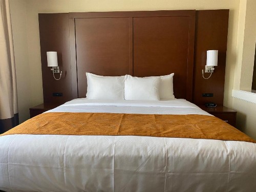 Comfort Suites Midland West - image 4