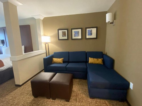 Comfort Suites Midland West - image 7