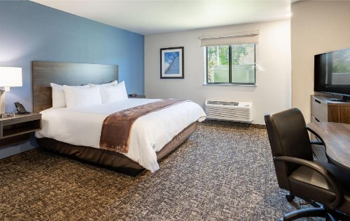 My Place Hotel-Midland TX - image 3