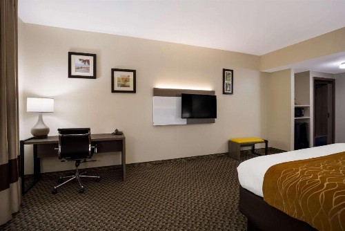 Comfort Inn & Suites Midway - Tallahassee West - image 10