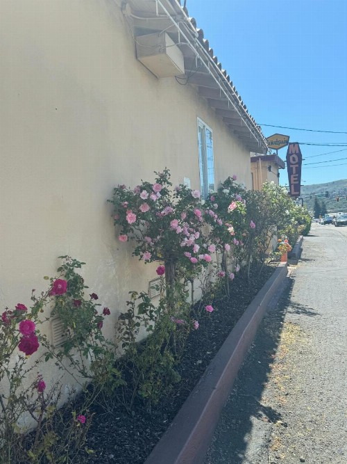 Tamalpais Motel - image 29