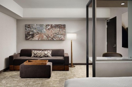 SpringHill Suites by Marriott Milpitas Silicon Valley - image 31