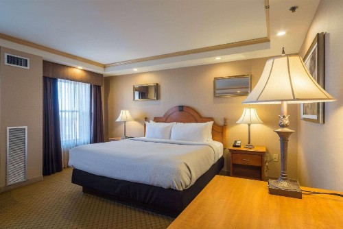 Ambassador Hotel - image 21